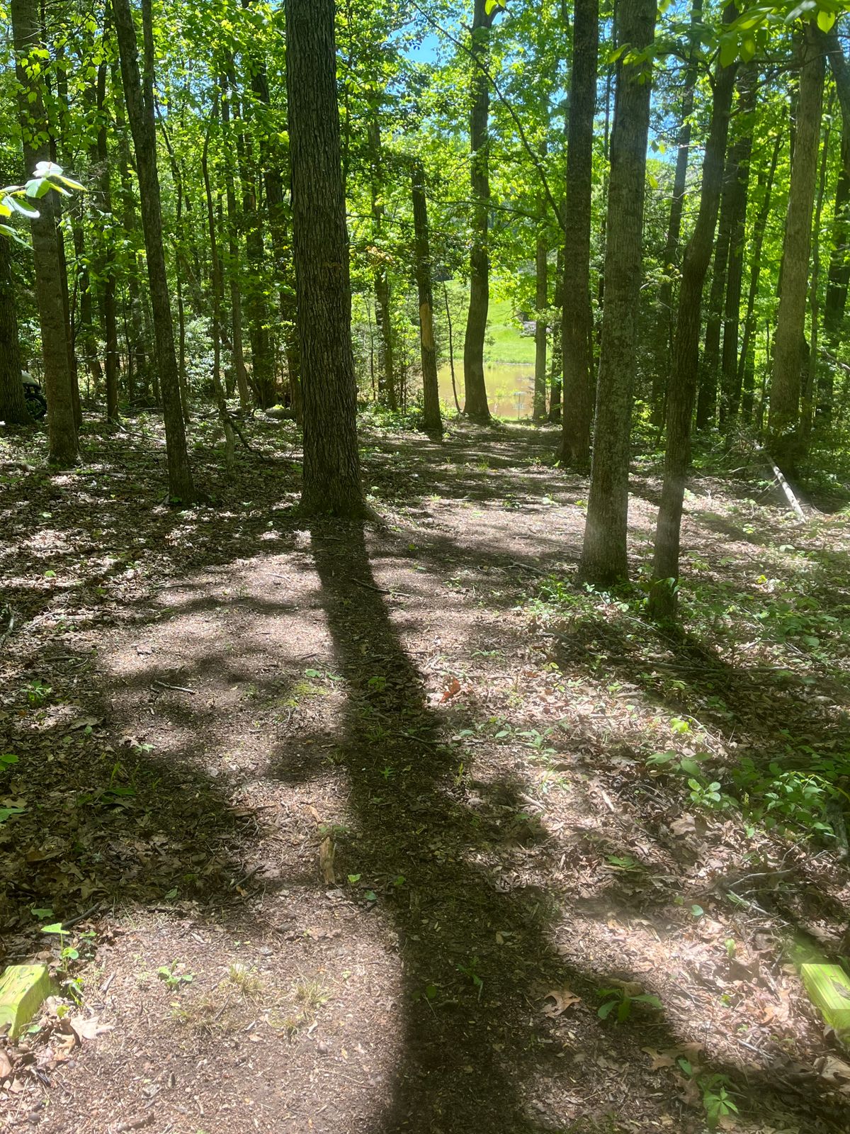 Hole 15