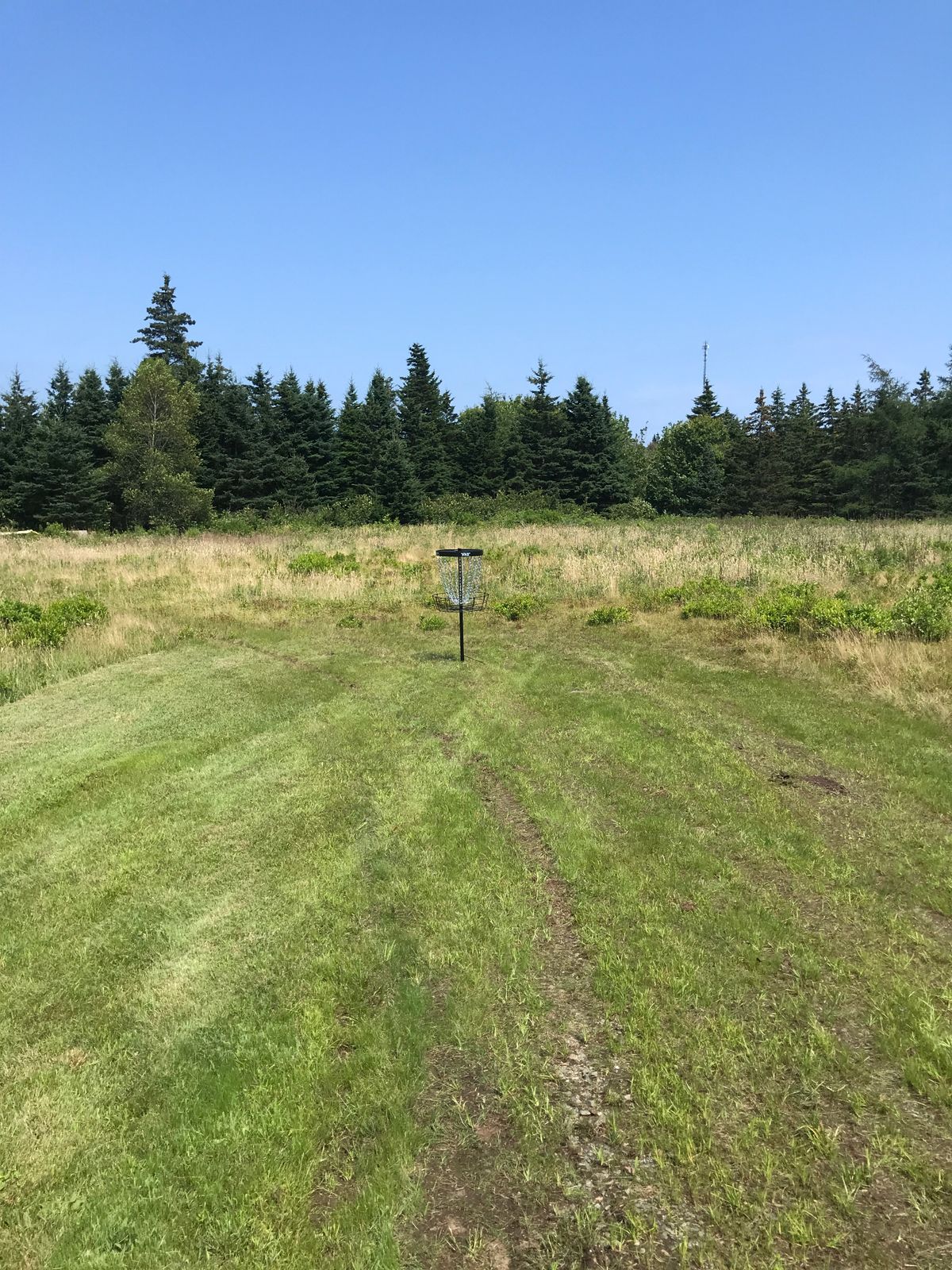 Hole one basket
