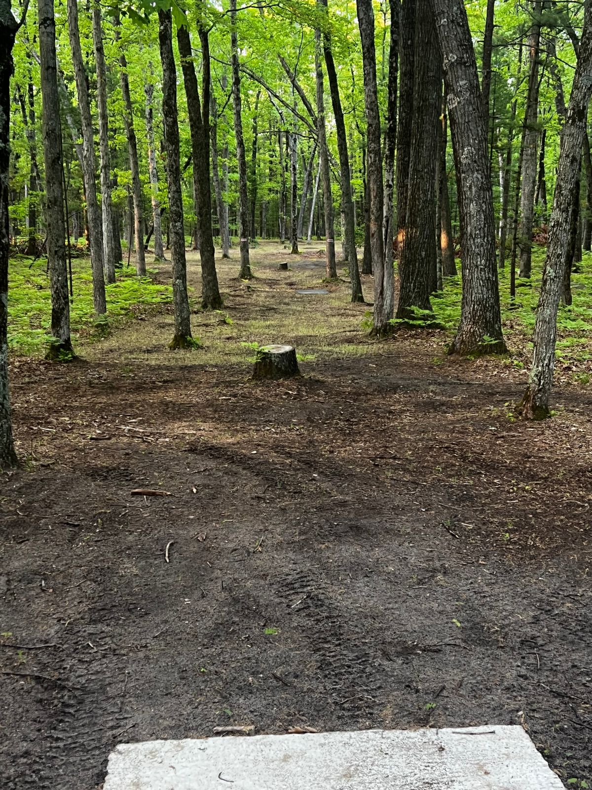 Hole 12