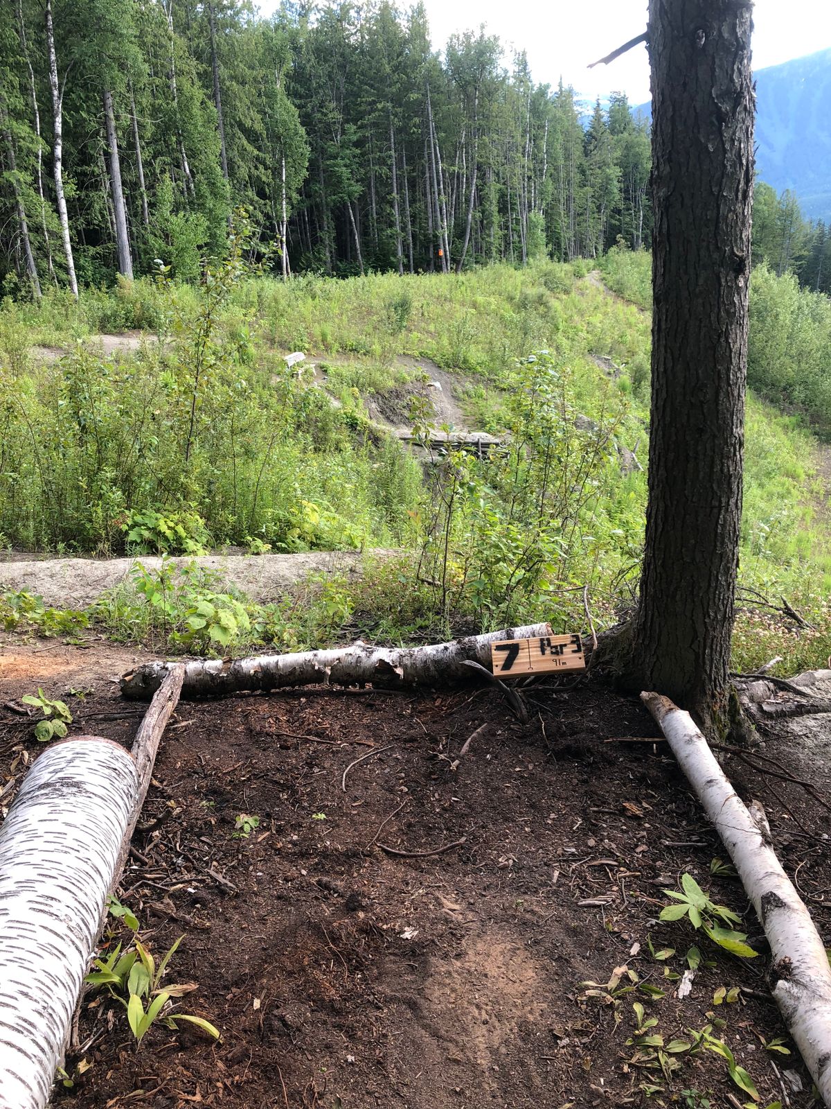 Hole 7, across the valley to hanging oil can. Favourite hole