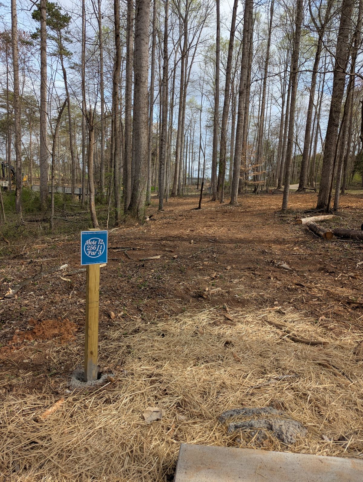 Hole 12