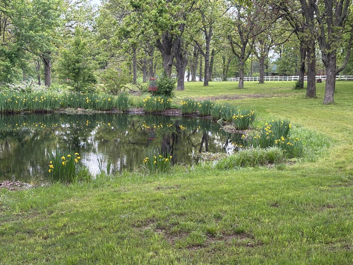 Pond hole