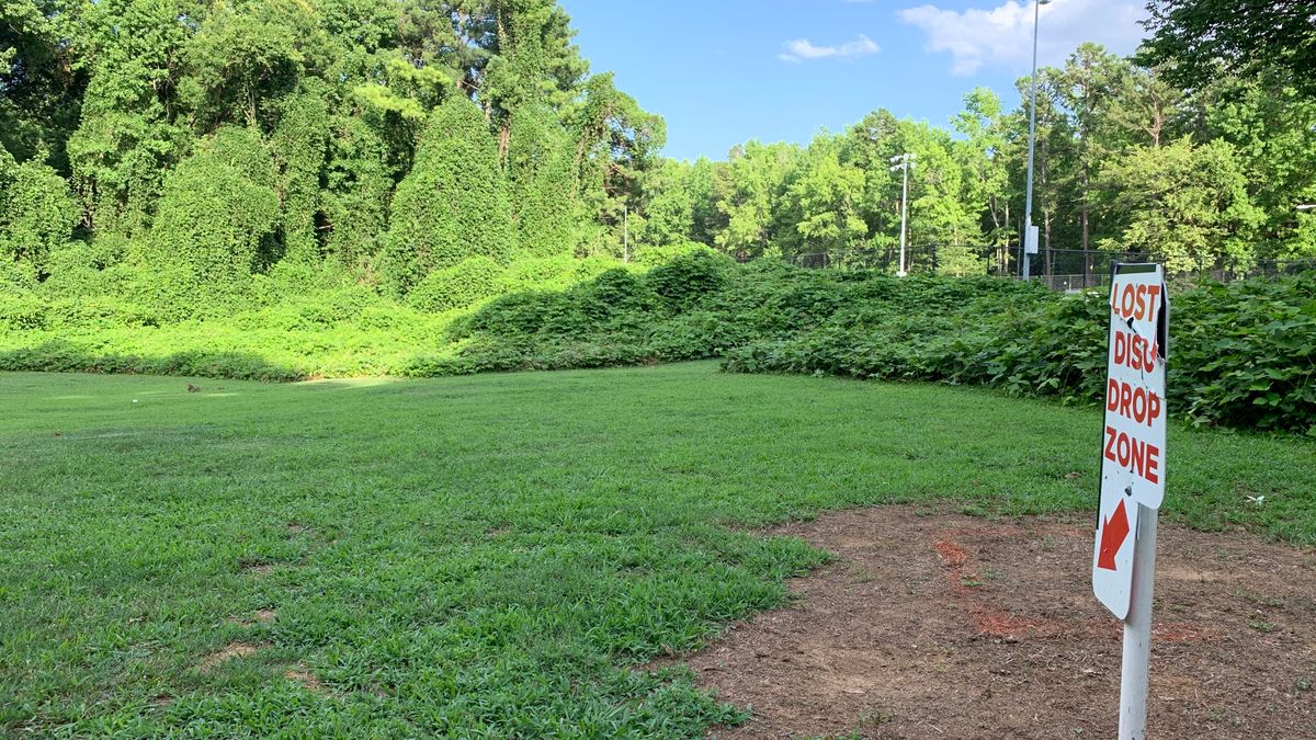 Hole 15