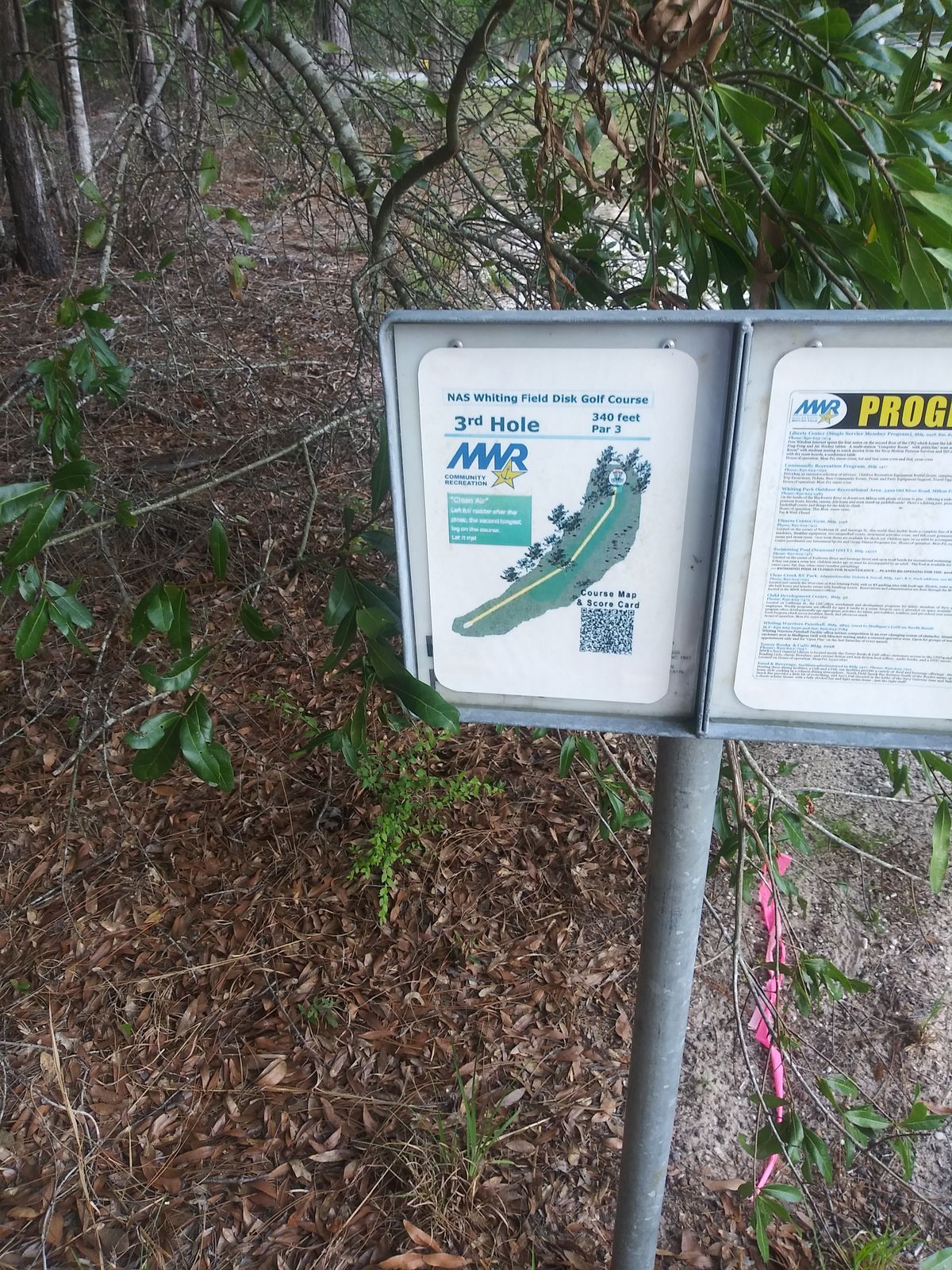 3rd hole