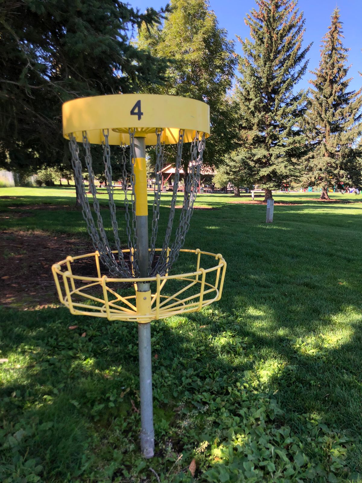 Hole 4 basket
