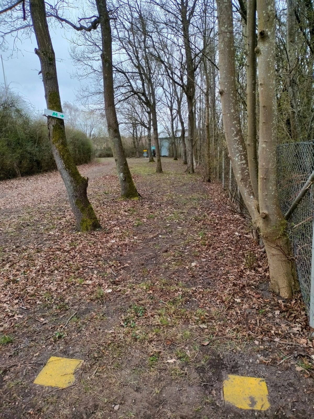 par 3