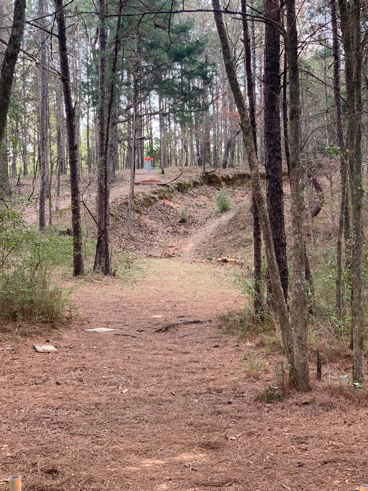 Hole 6