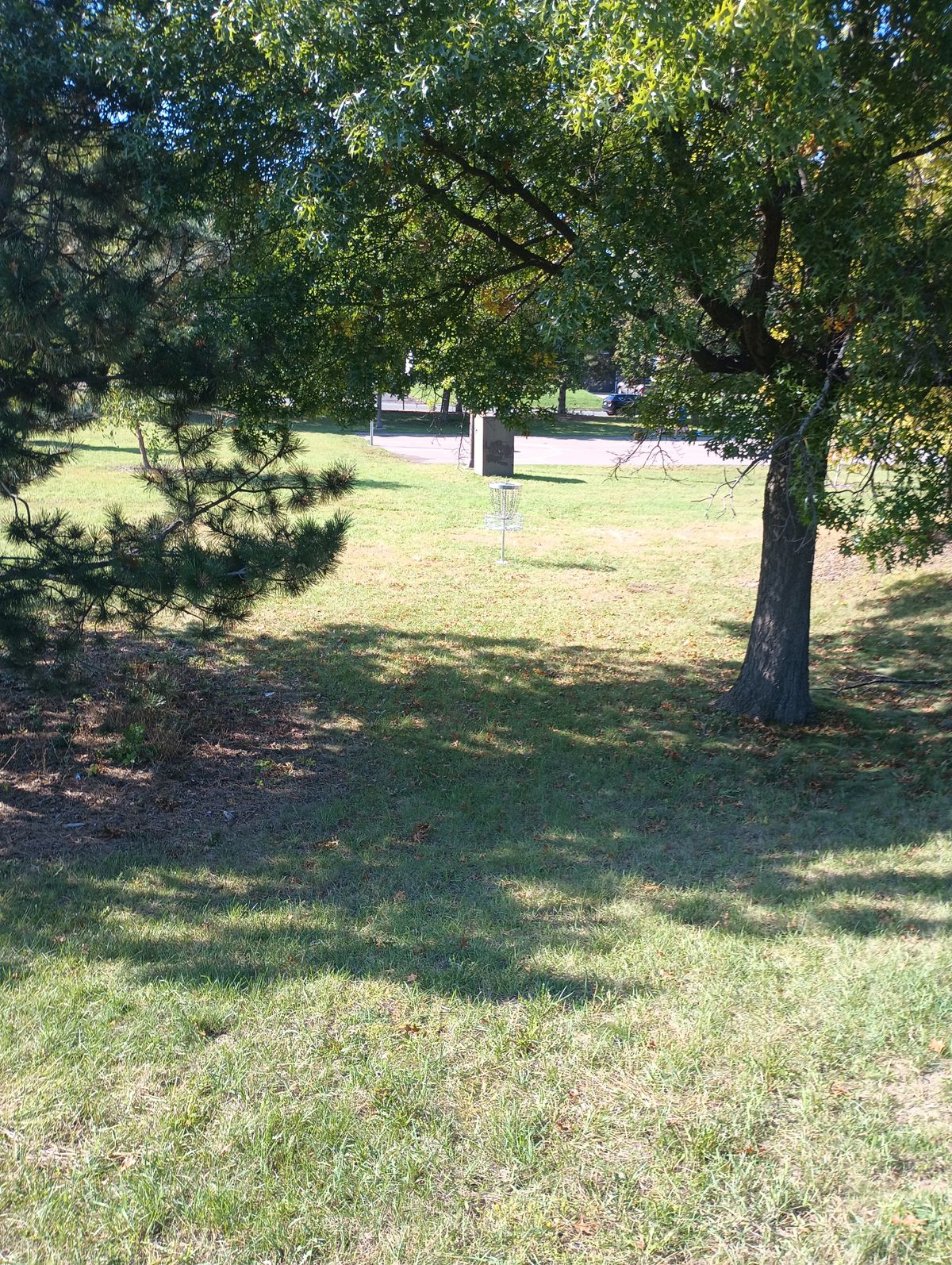 Looking down at the basket on hole two