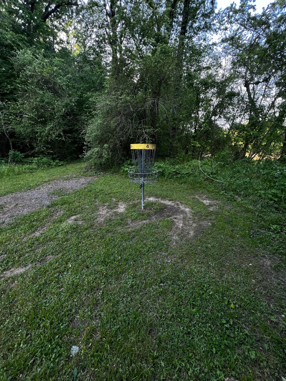 Hole #4 Basket