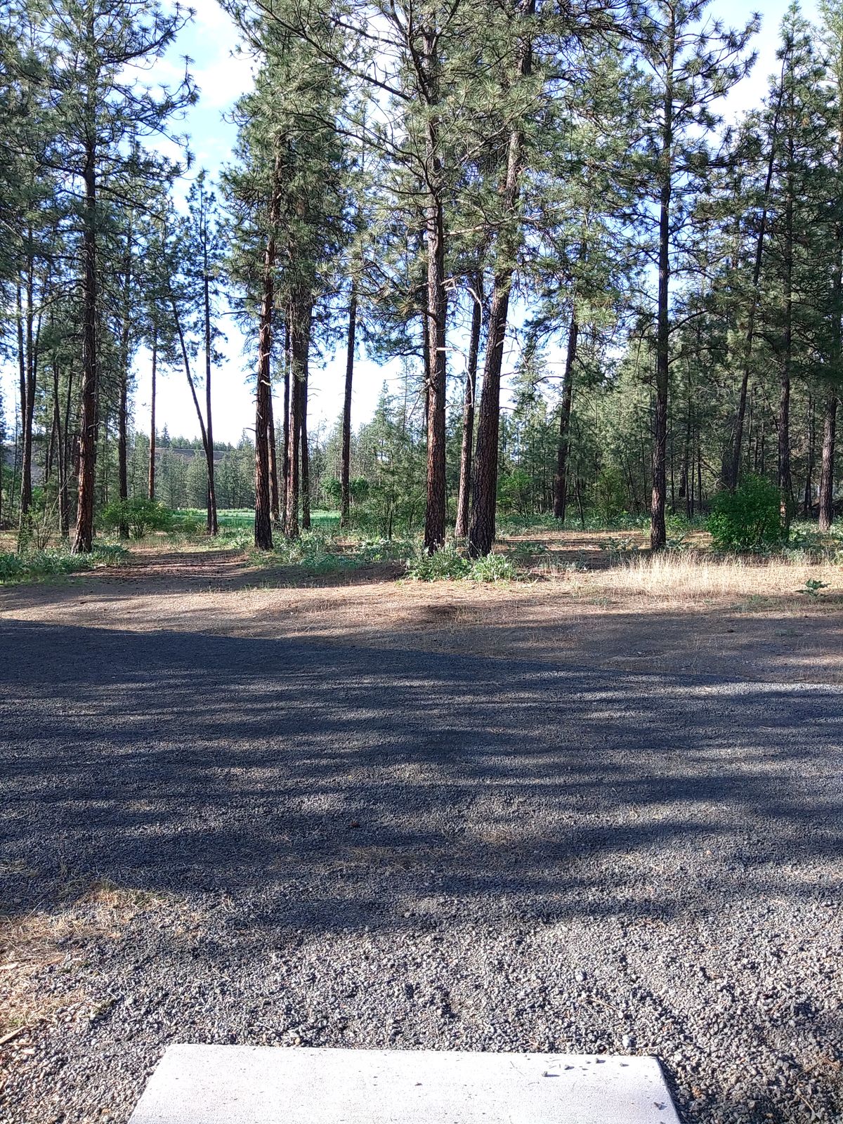 Fairway 15. You can go left or right to reach either pin.