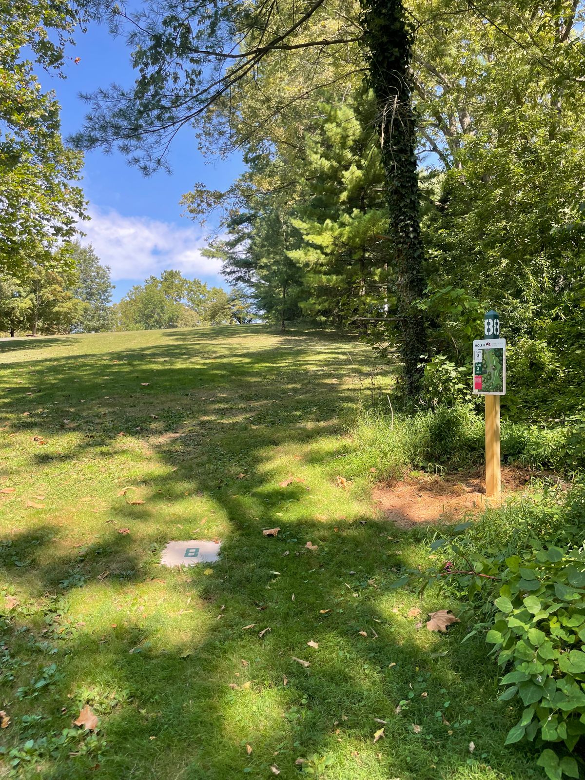 Hole 8 Green Tee