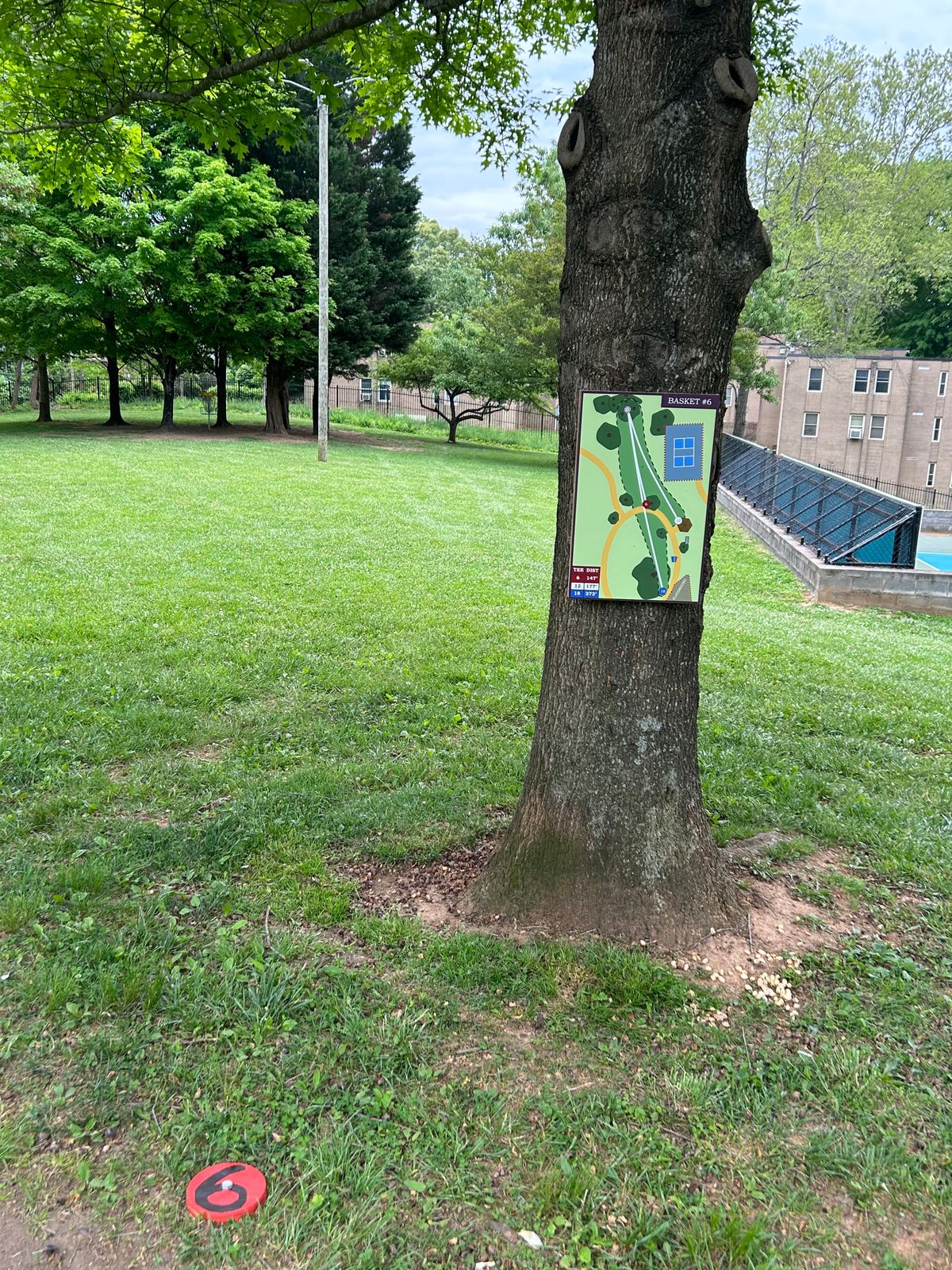 Hole 6 (Red)
