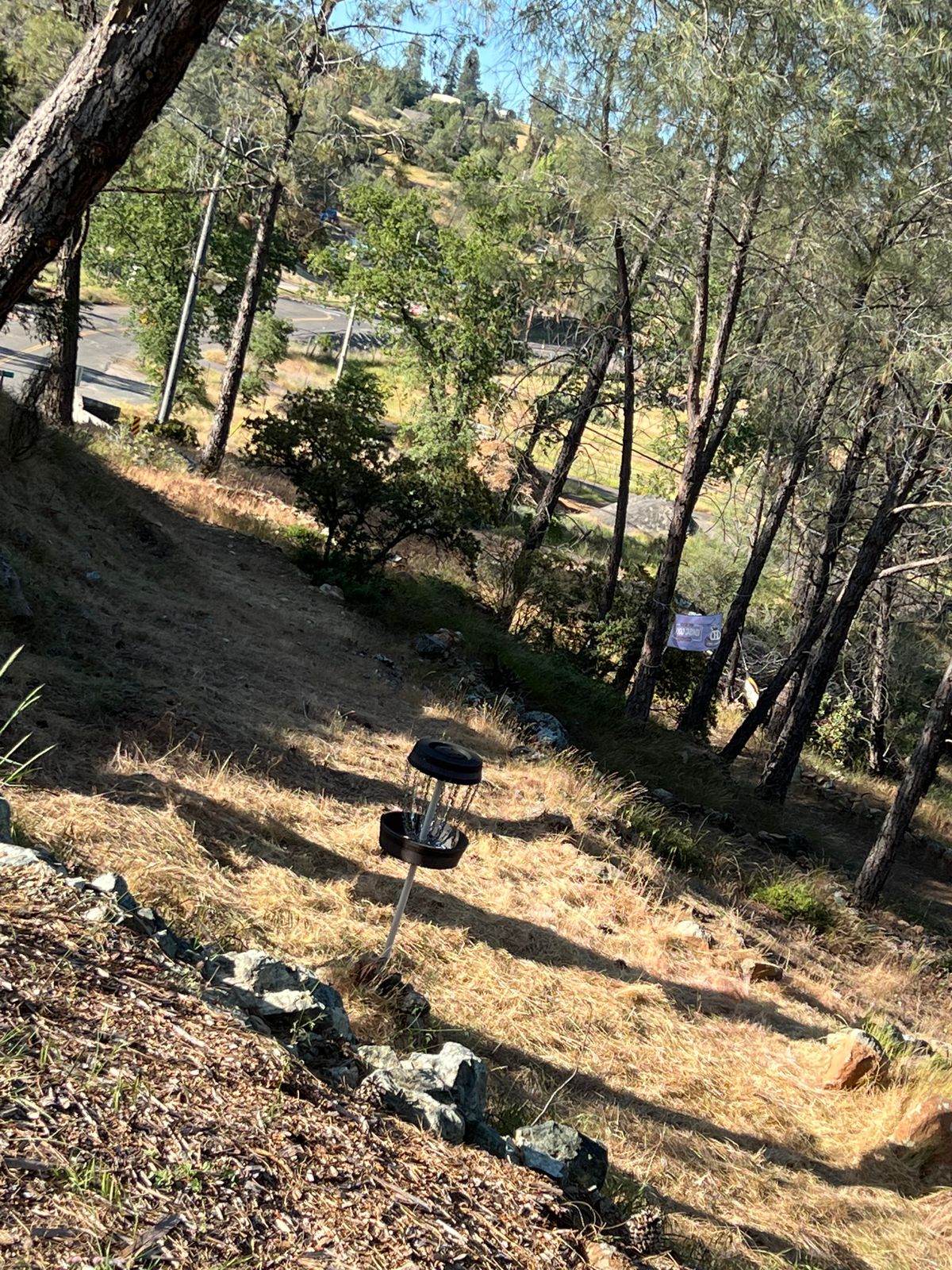 Hole 1 green