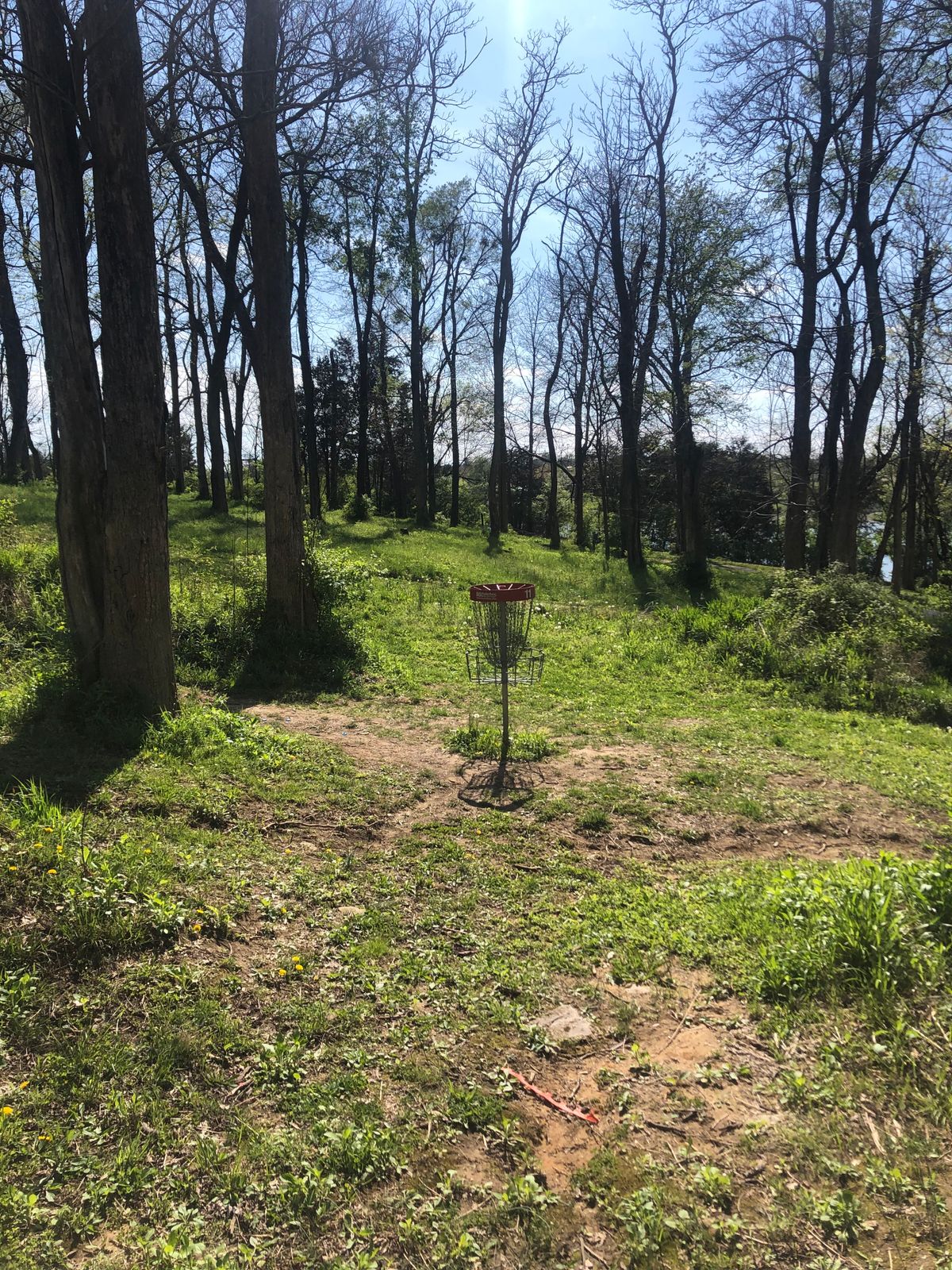 Hole 11 pin