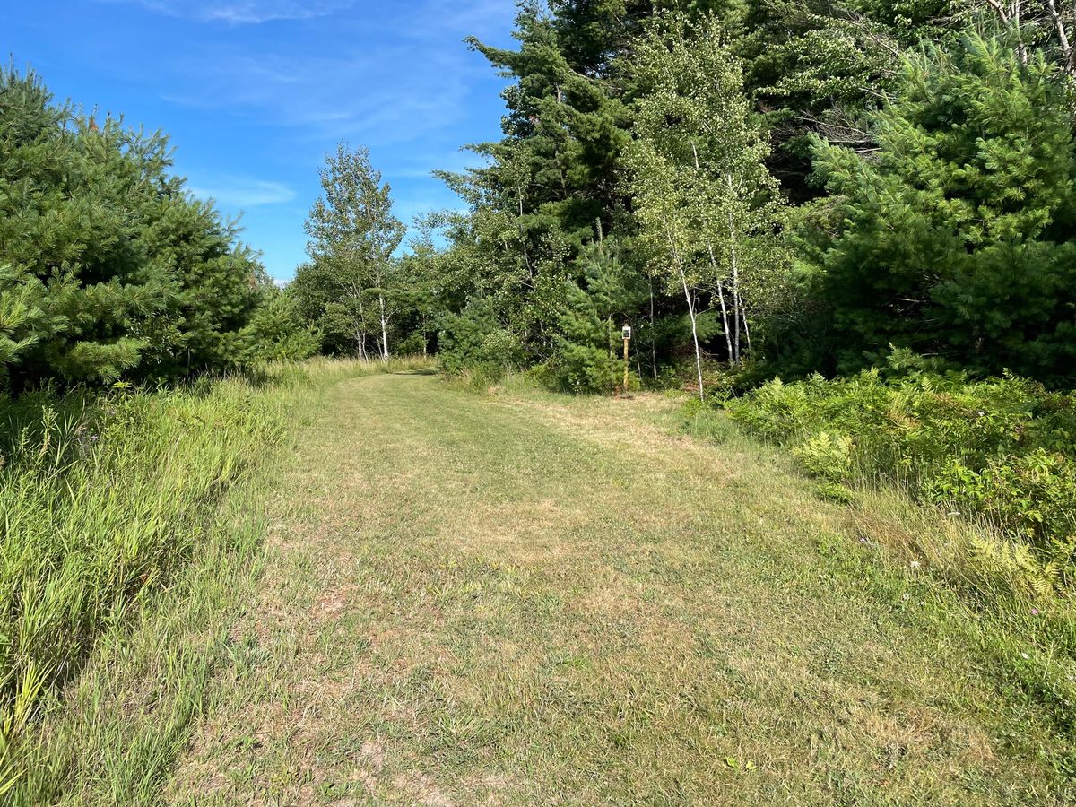 Entrance to 14’s tees, aka the wooded hole