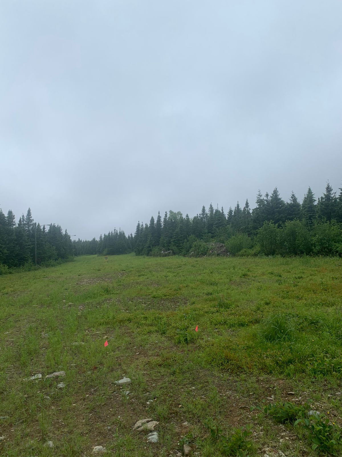 View from the Red tee