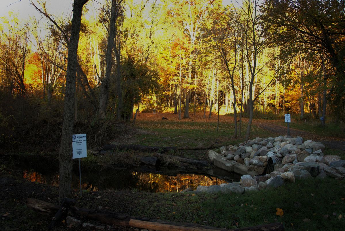 Hole 1 Shorts