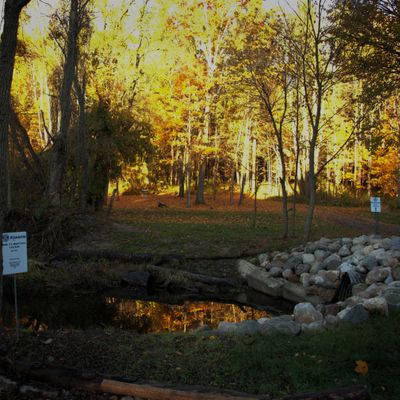 Hole 1 Shorts