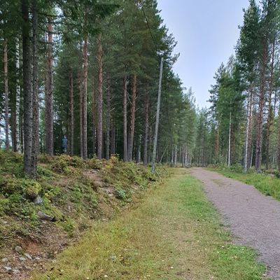 Course photo