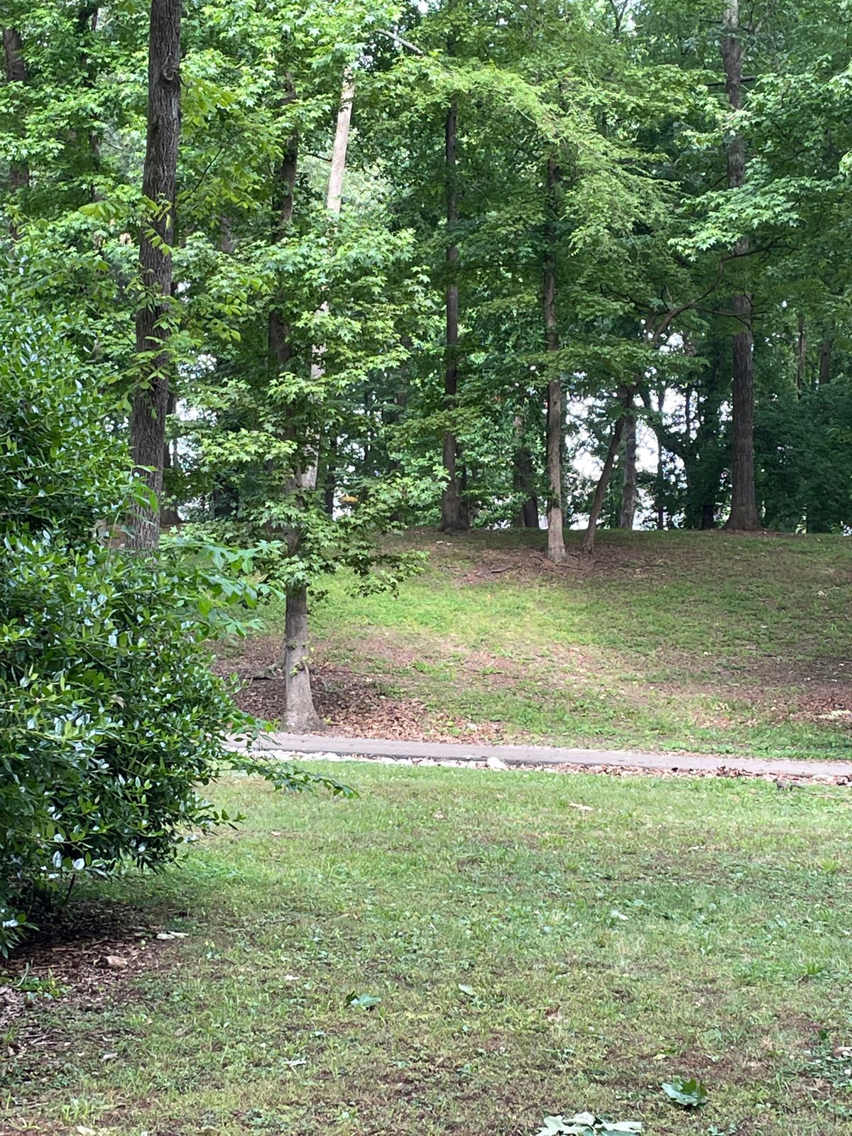 Hole 15