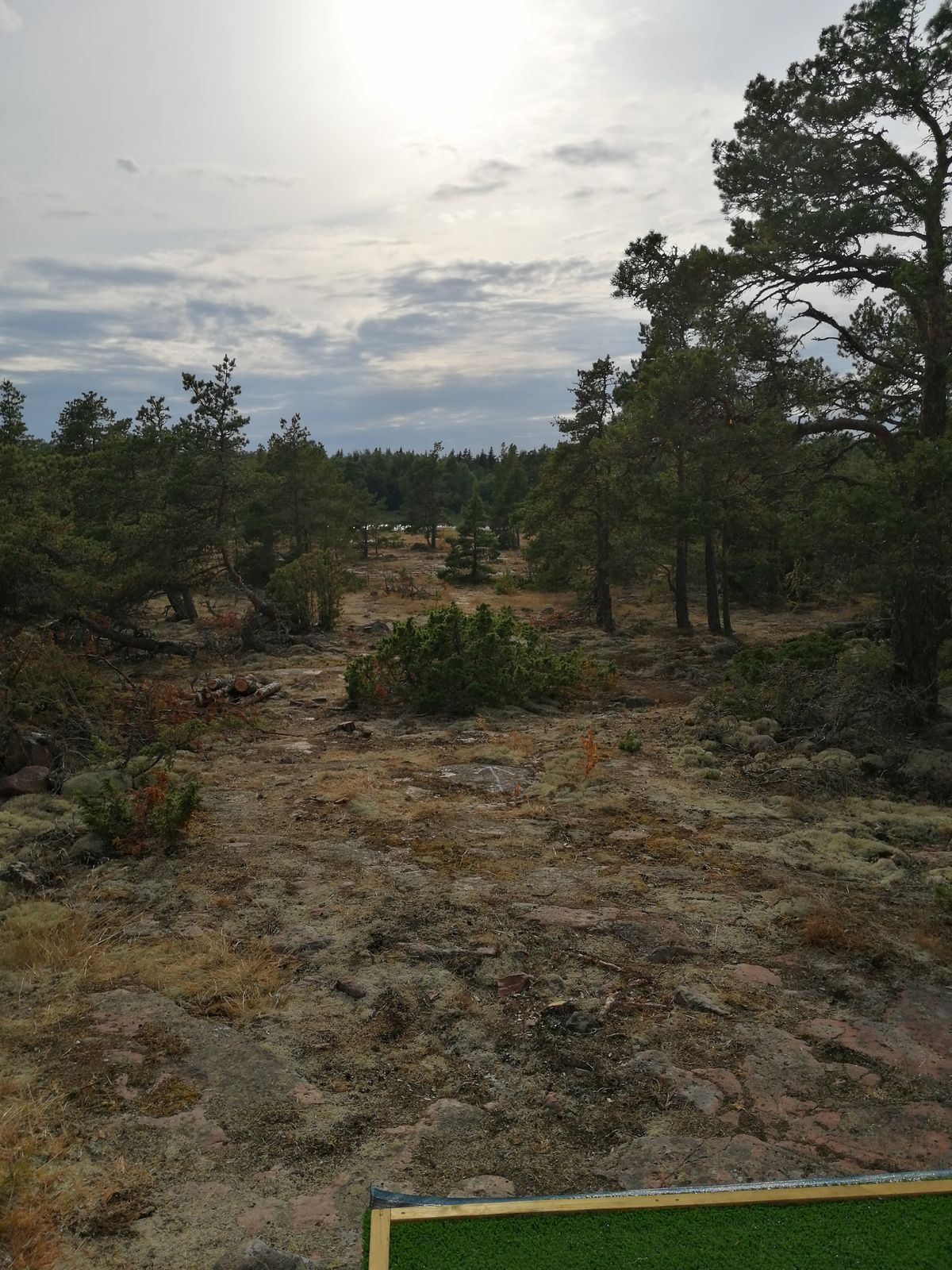 Väylä 18