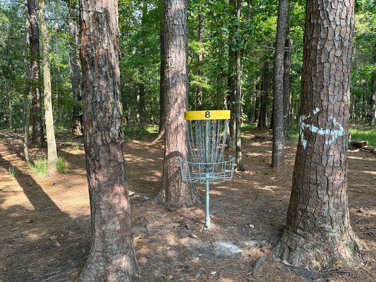 Hole 8 Basket