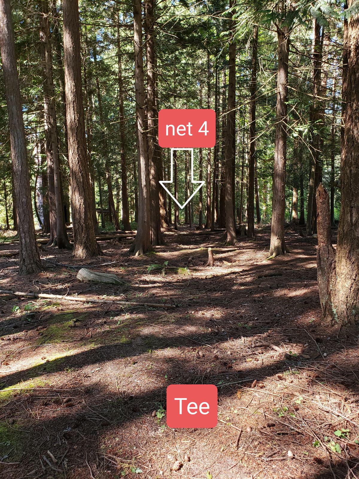 Net 4