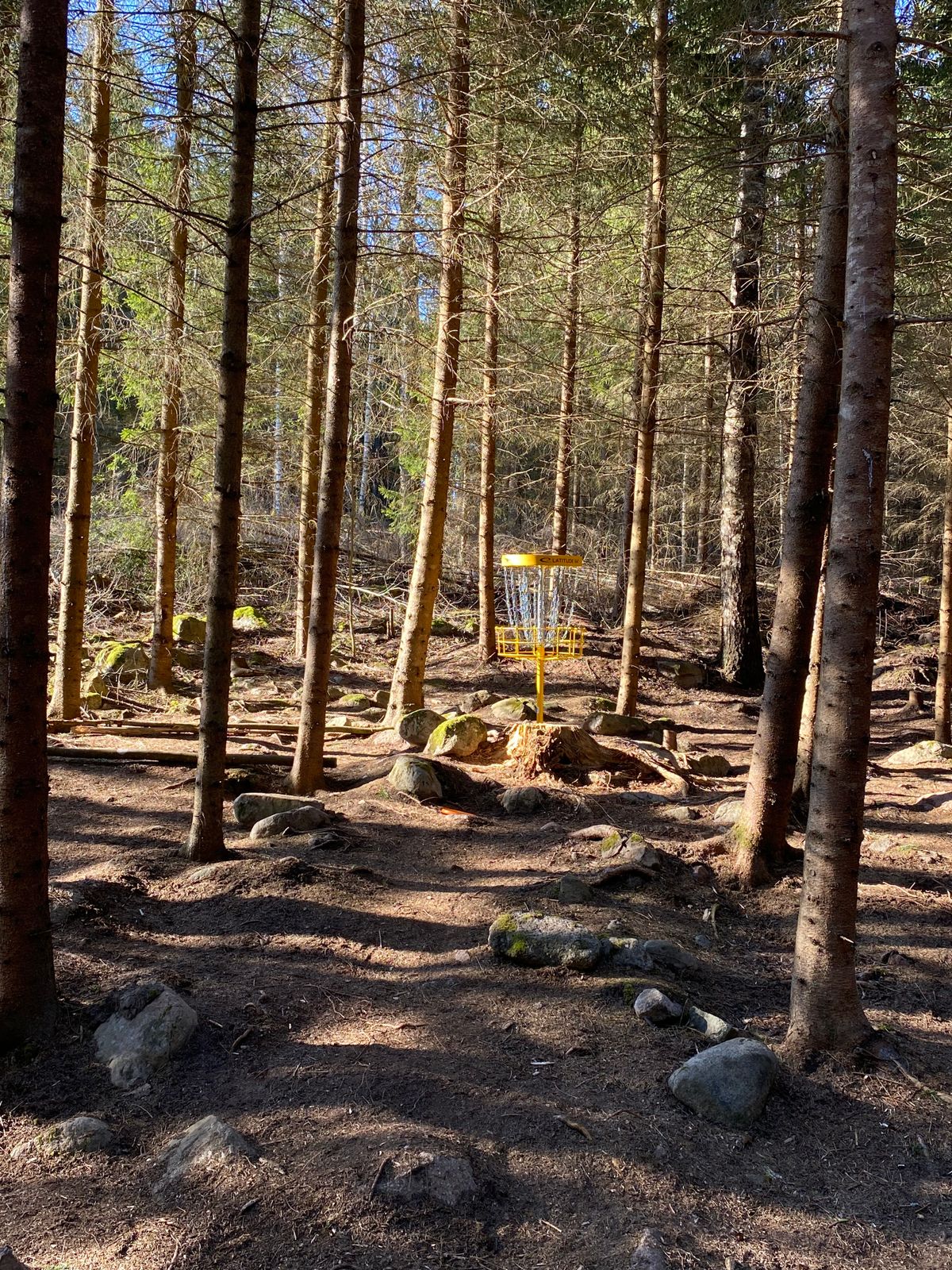 Korgplacering på 17 vit