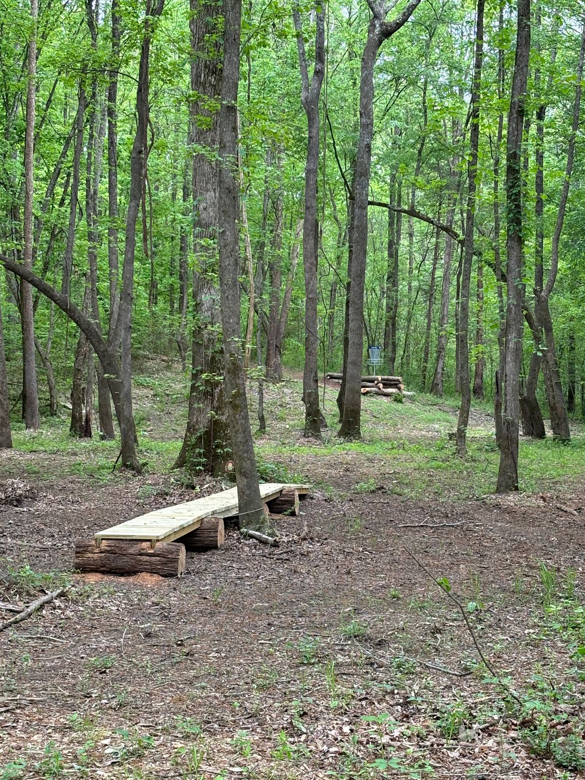 Hole 11
