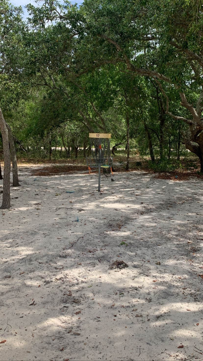 Hole 17 basket
