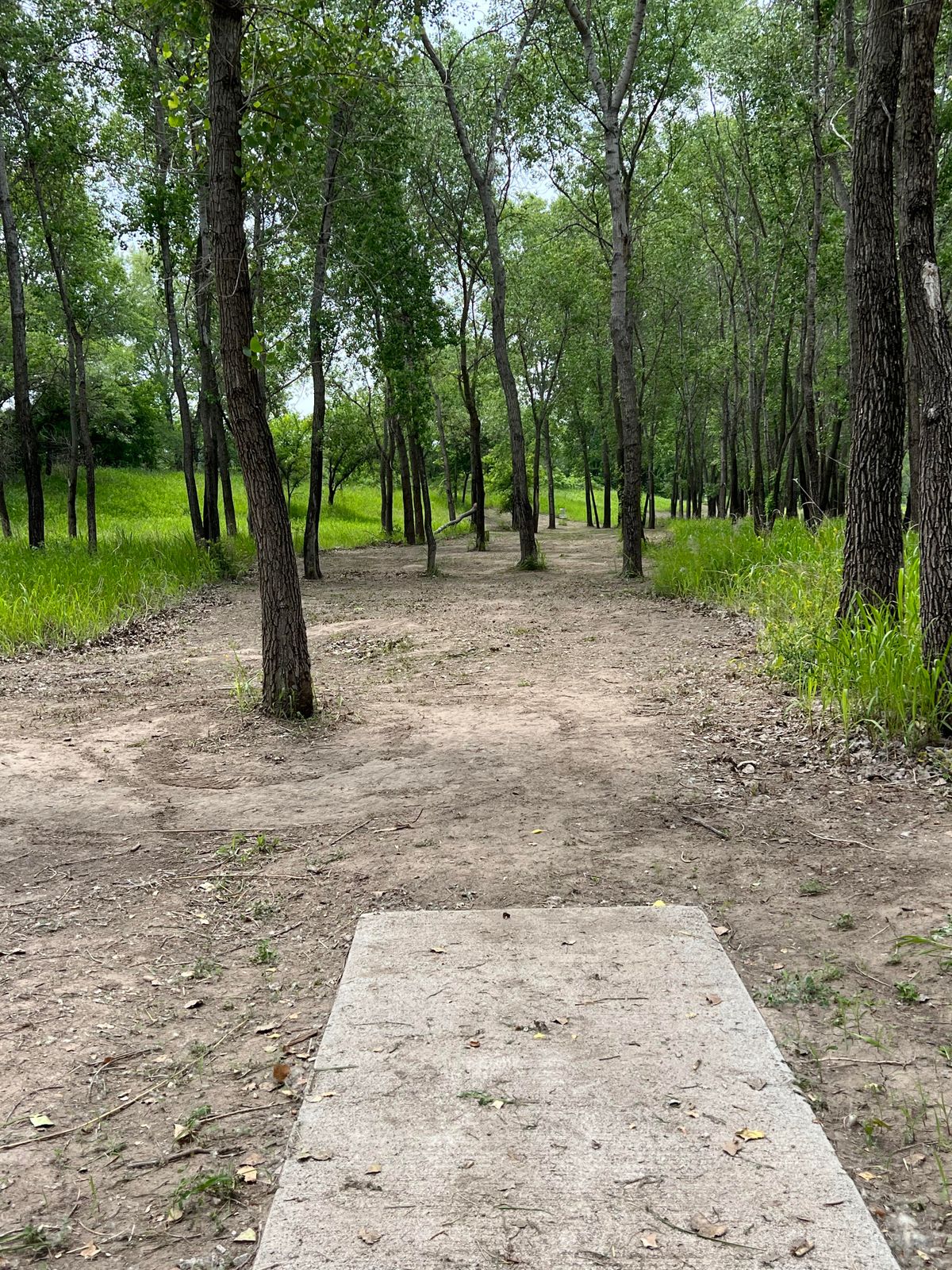 Hole 5