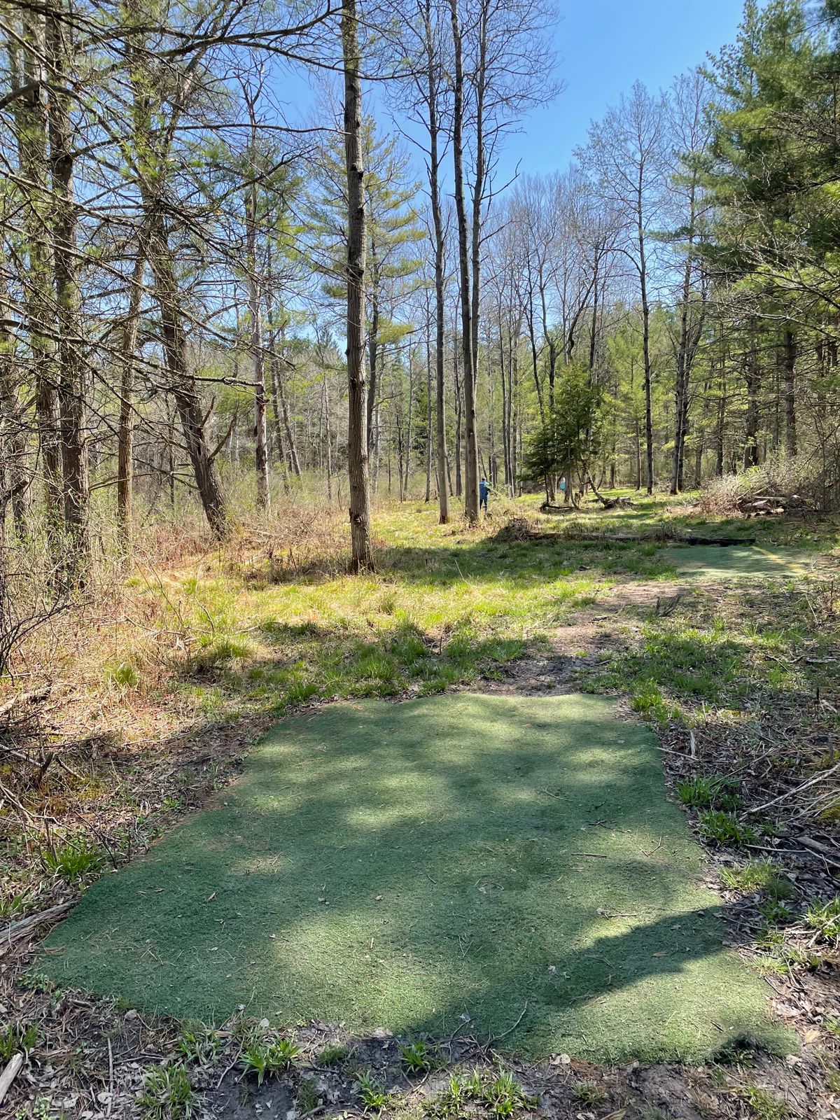 Hole 8, Blue (Long) tee.