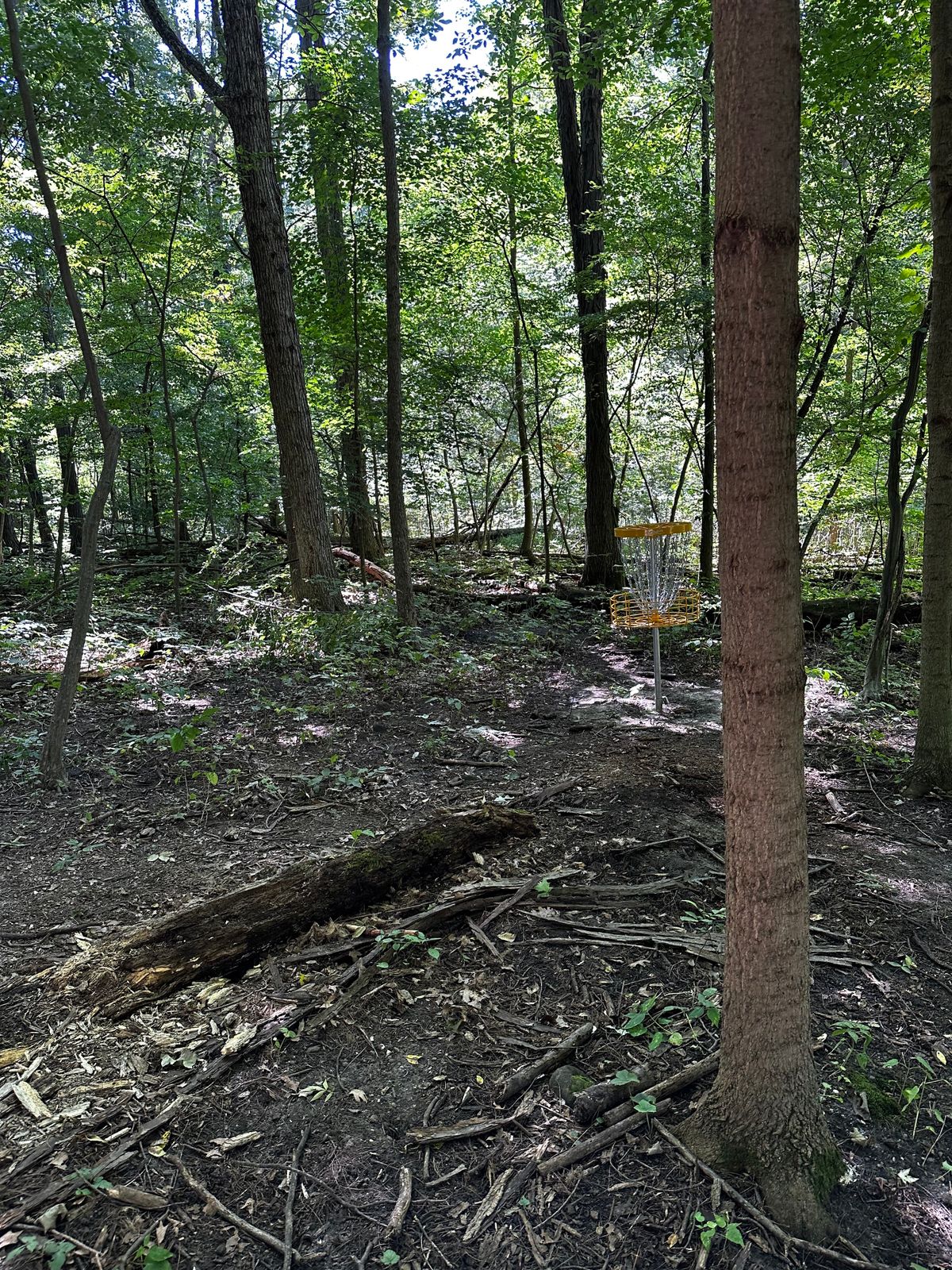 Hole eight basket