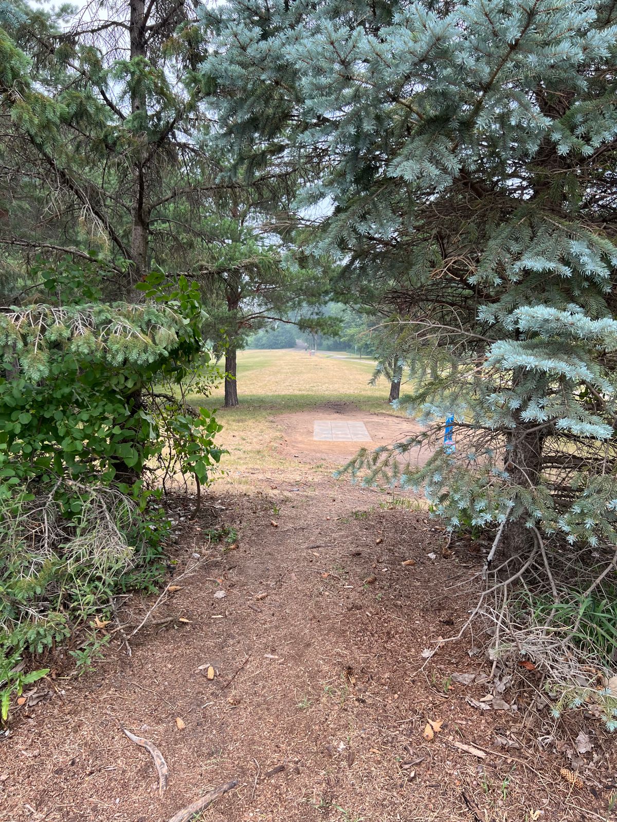 Not the recommended path to get to the tee pad but it works