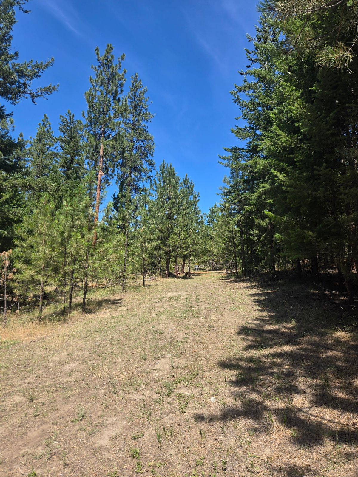 Hole 9 fairway