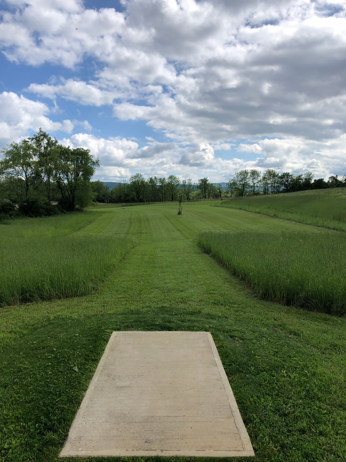 Hole 6 tee