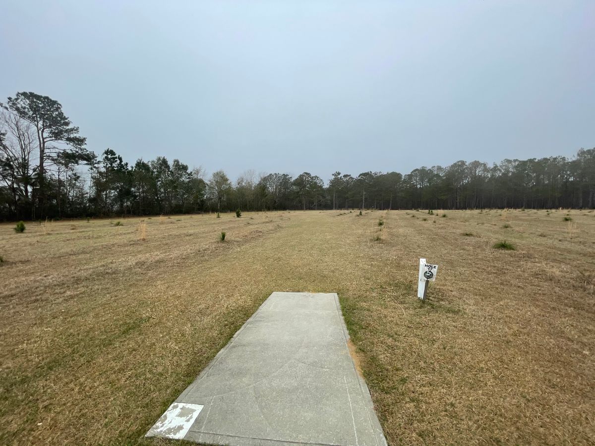 Hole 17