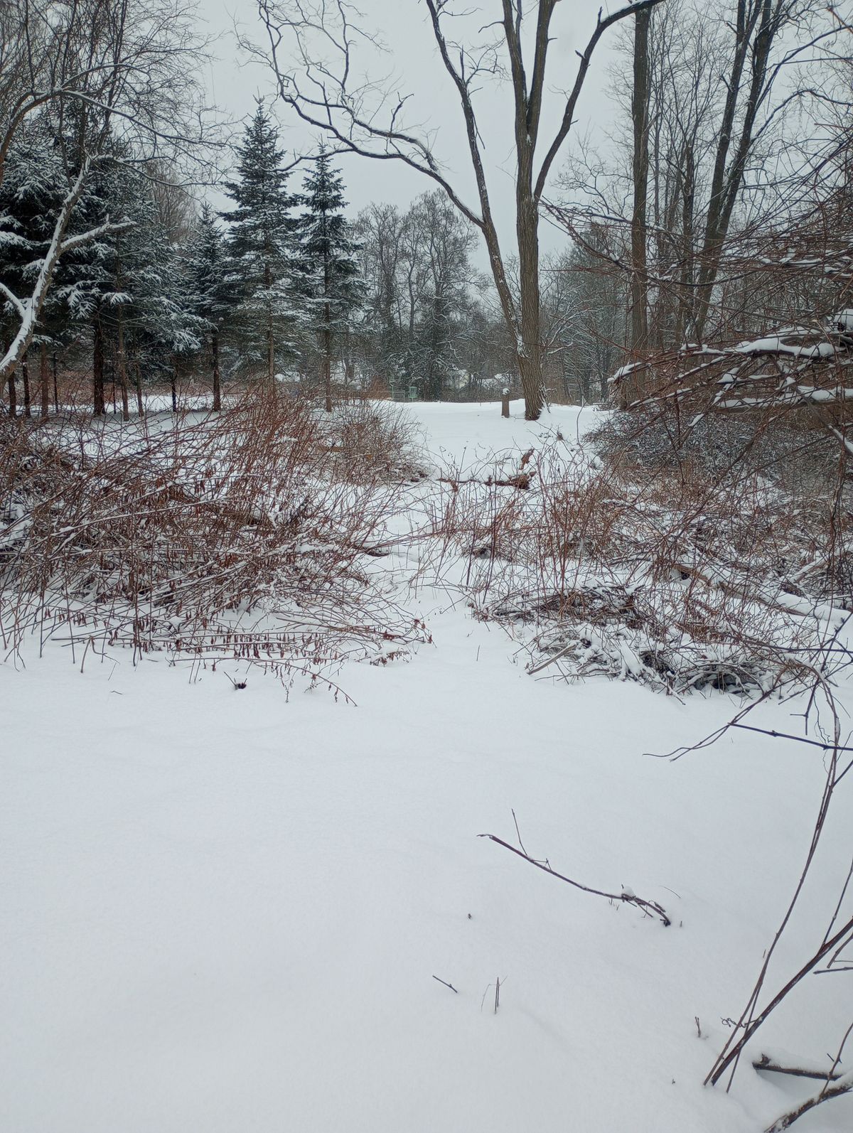 Tee Winter