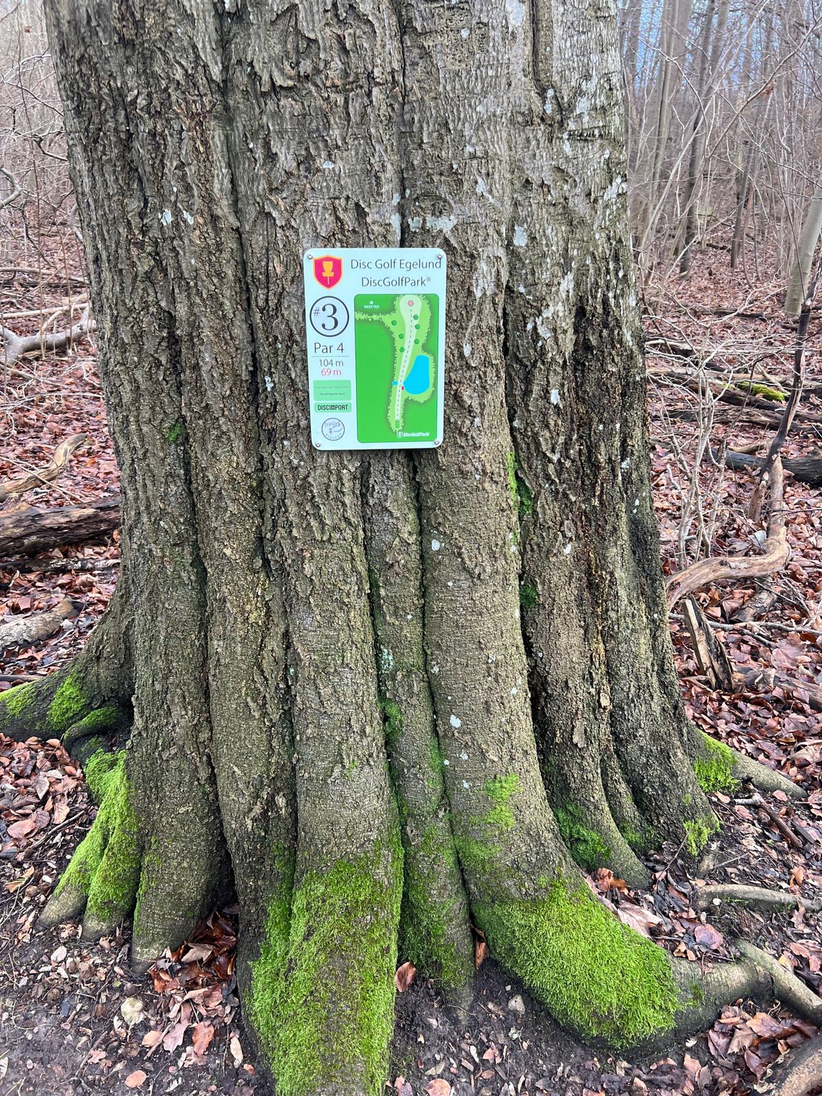 Hole 3