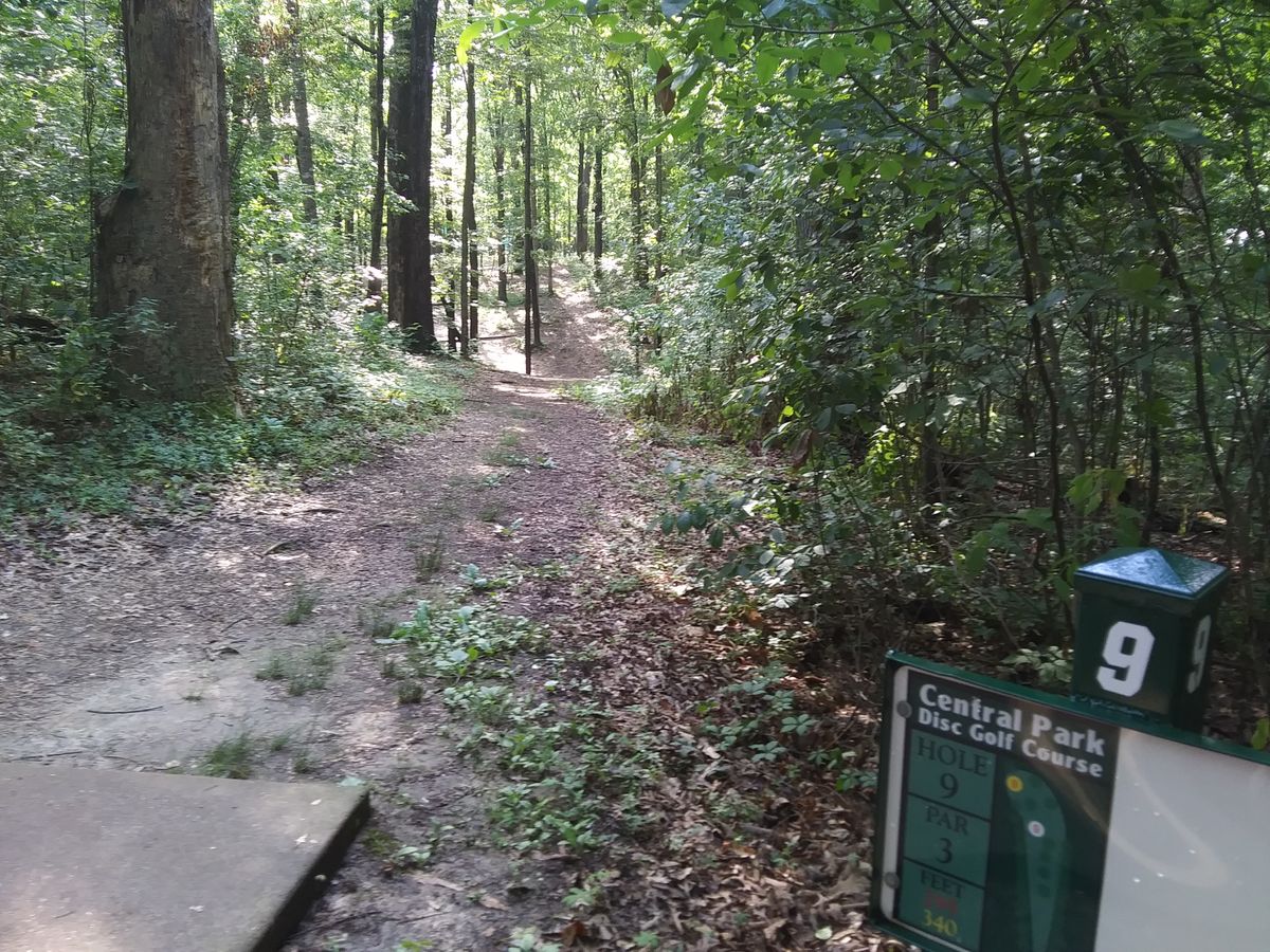 #9 bends slightly left down and back up the hill to the red green with the yellow target higher up the hill to the left.