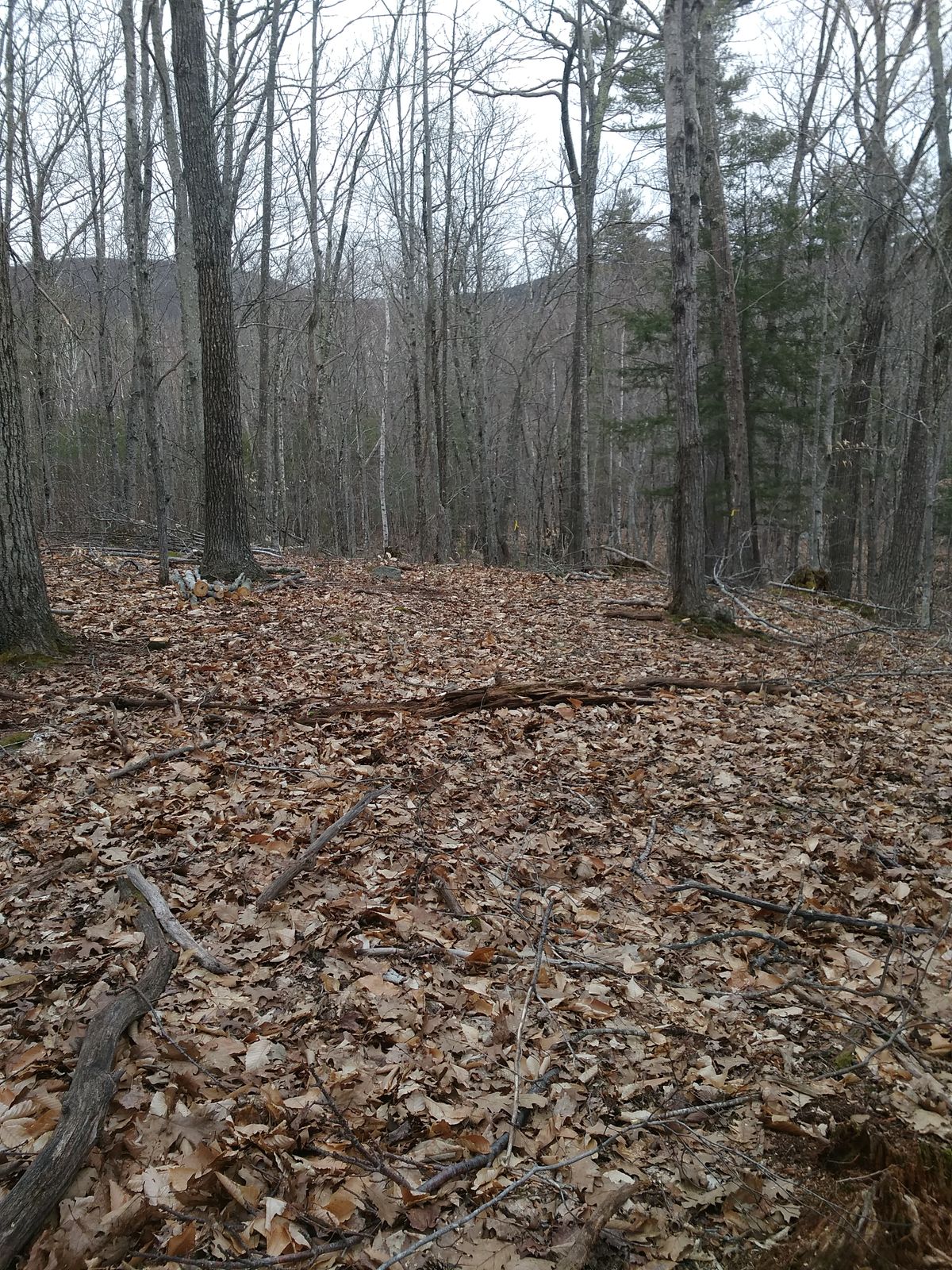 Hole 6