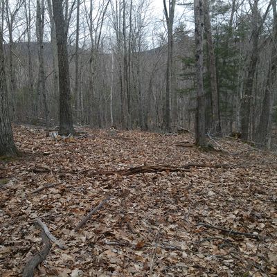 Hole 6