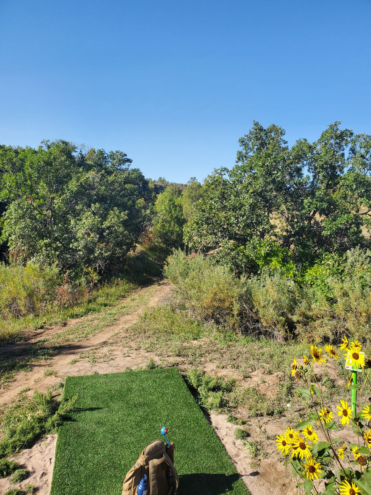 Hole 4