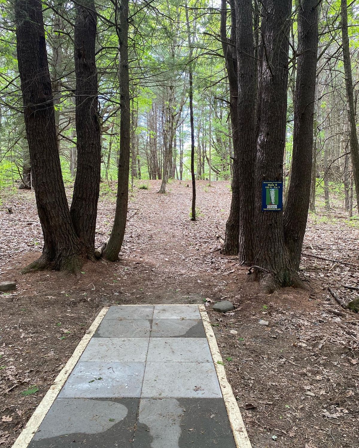 Tee 9