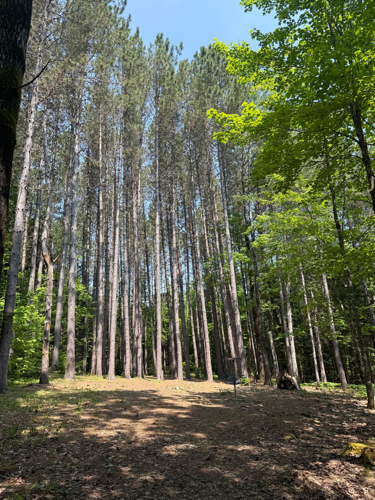 Hole 6