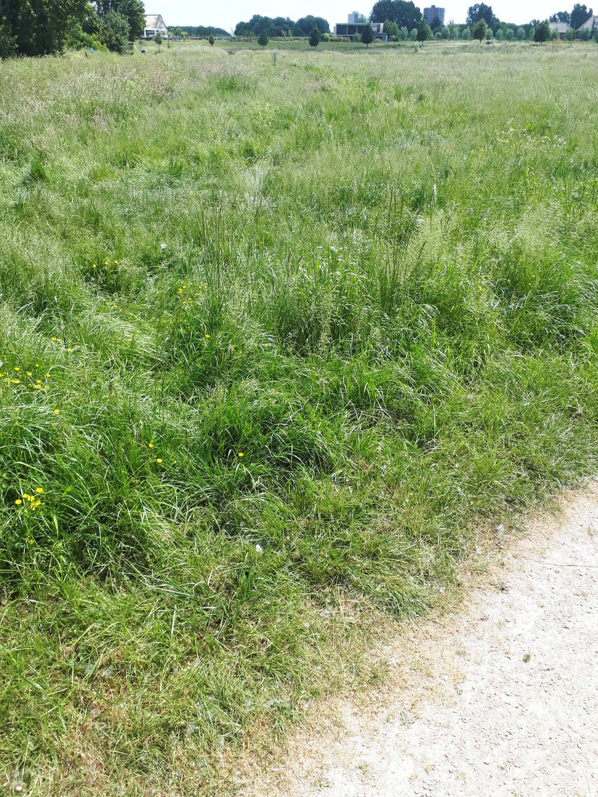 Hole 3