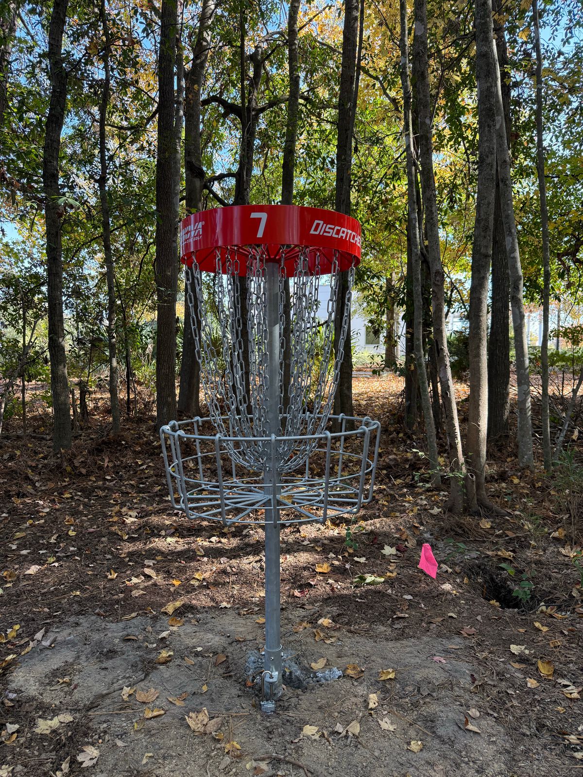 Hole 7 basket