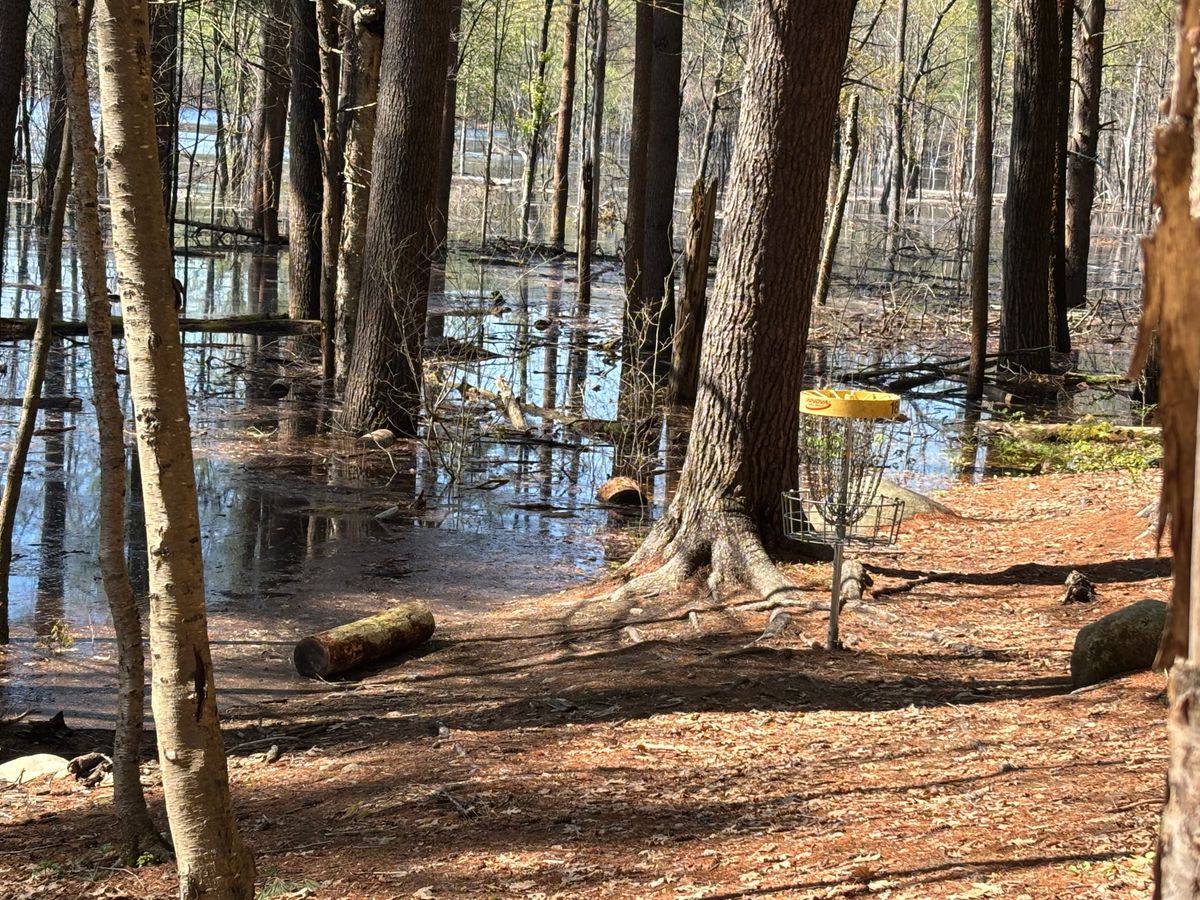 Temporary water hazard on hole 18. May 2025.