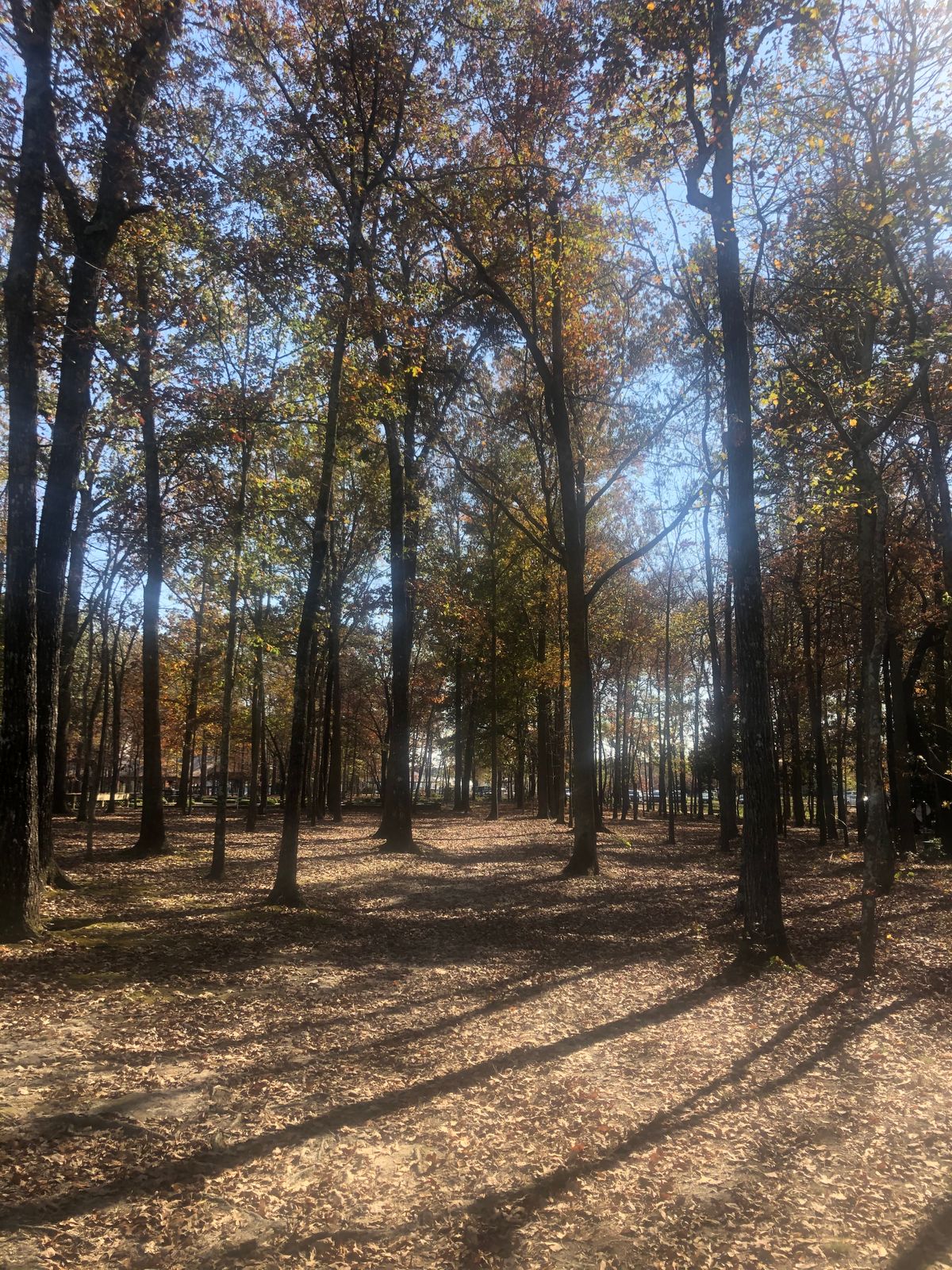 Hole 17