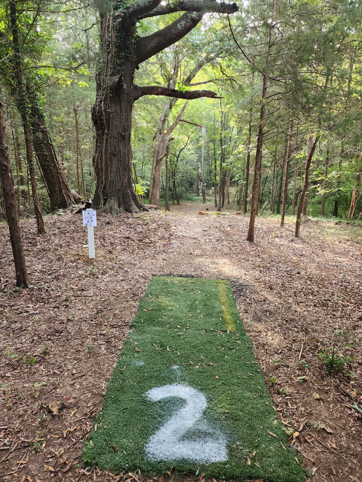 Hole 2 tee